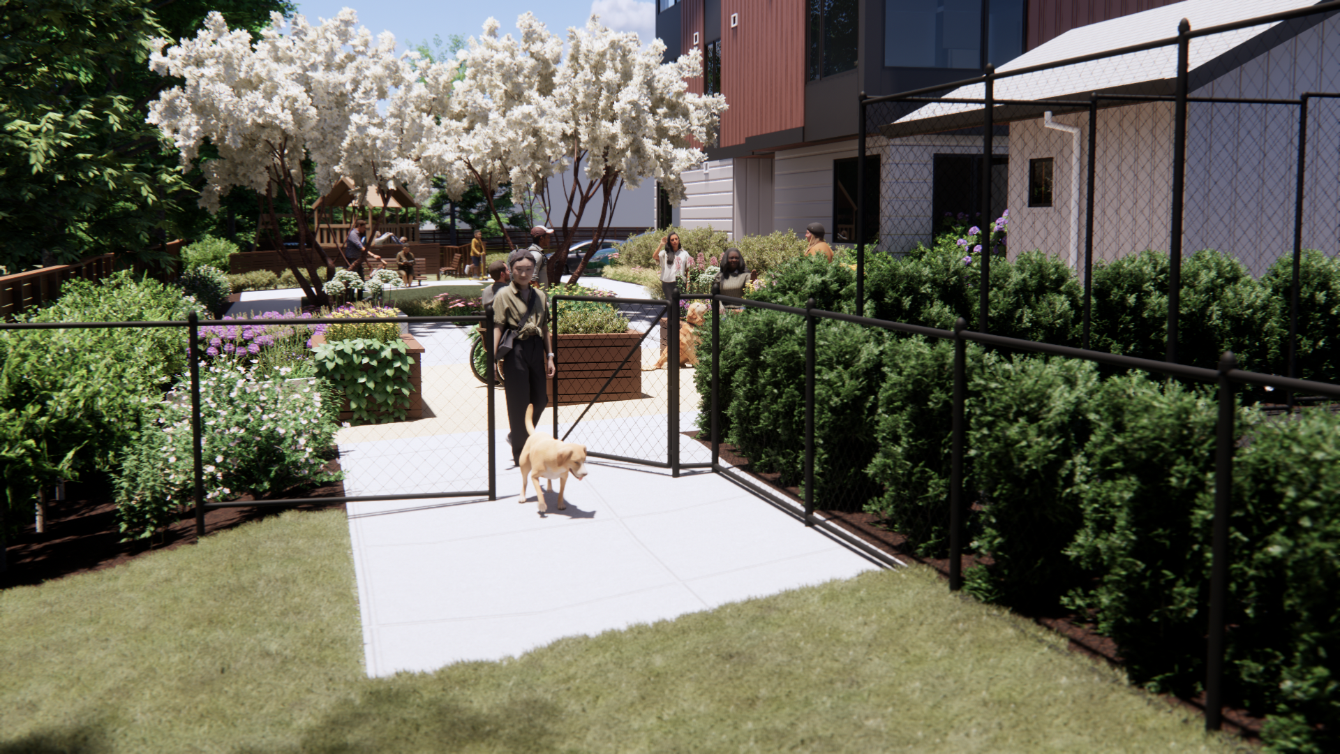 A dog is standing on a white path in a garden.
